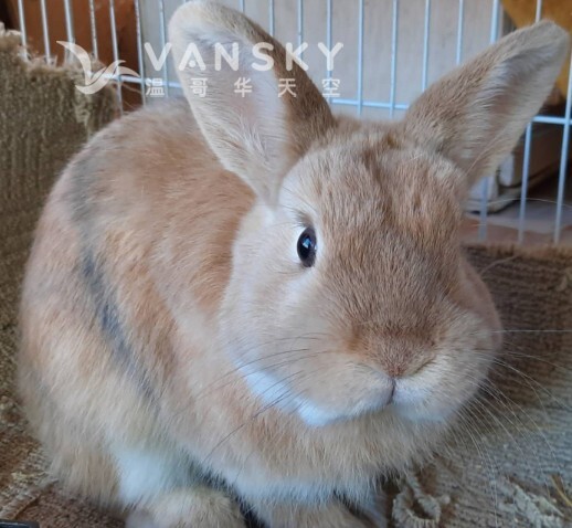 251218201704_Screenshot 2025-12-18 201318.jpg